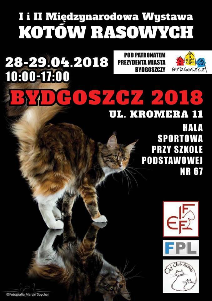 Mezinrodn vstava koek (FIFe) - 28. - 29. dubna 2018