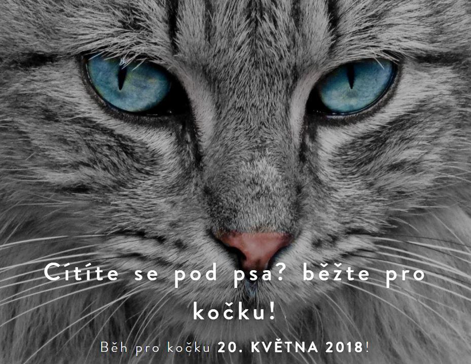 Bh pro koku - 20. kvtna 2018