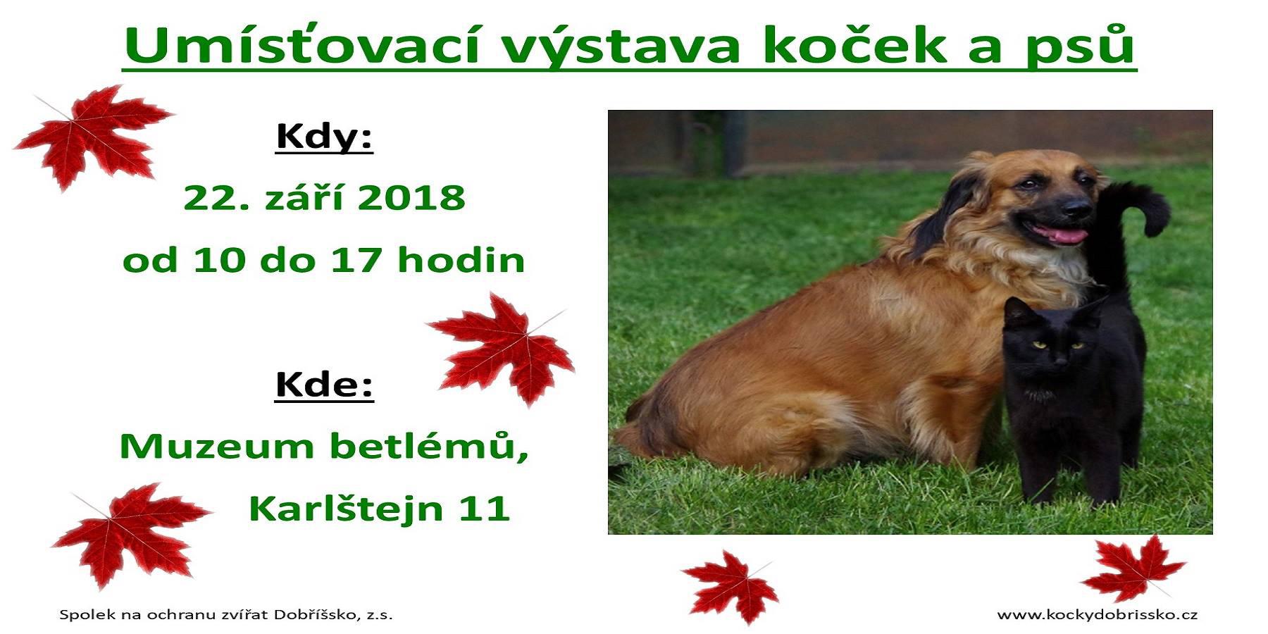 Umisovac vstava koek a ps - 22. z 2018