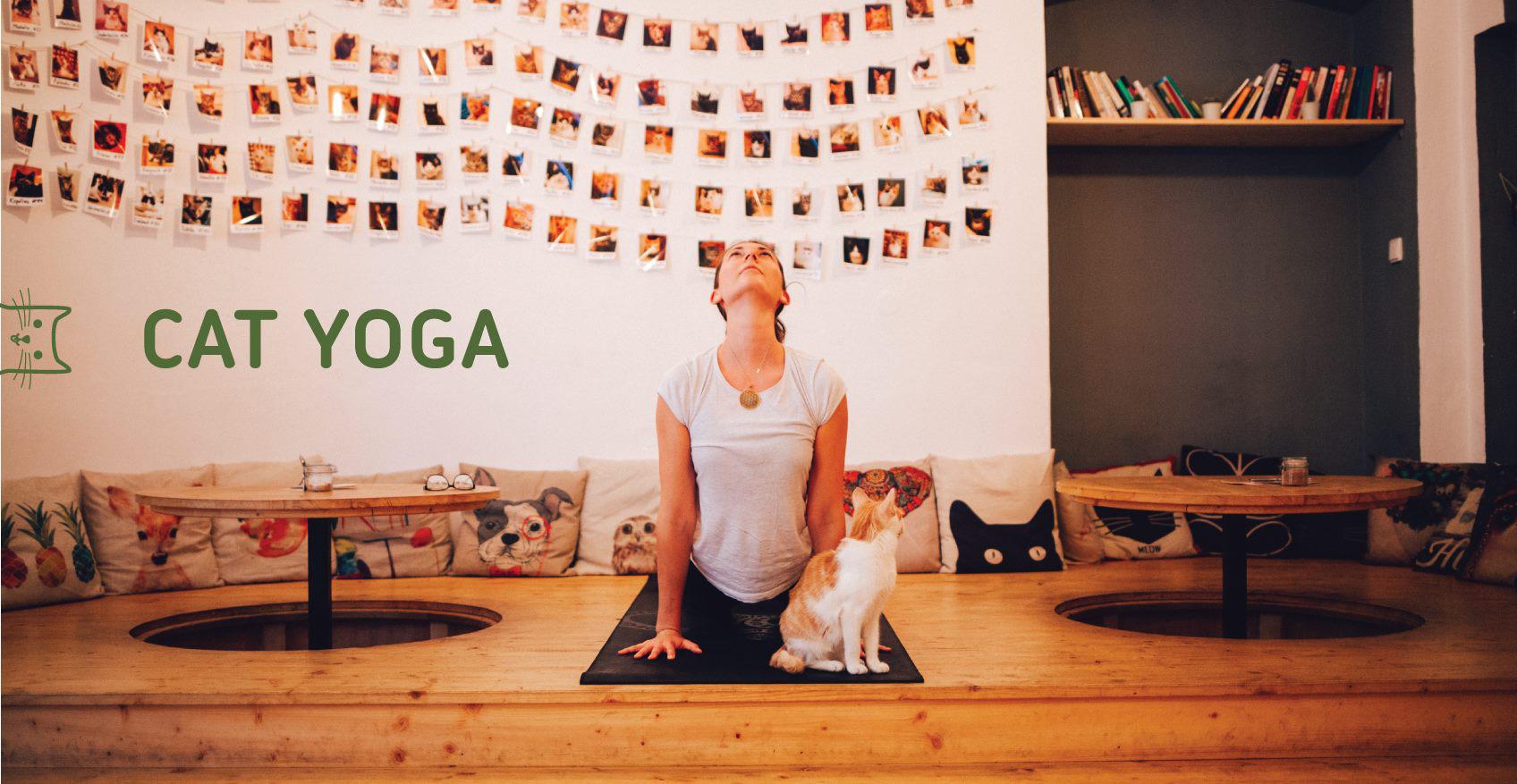Cat Yoga 29 v Pelku - 20. kvtna 2018