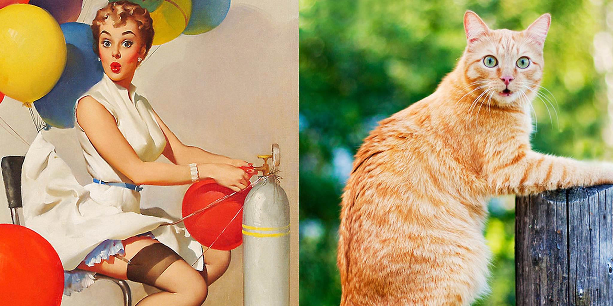 Super CATural RETRO party - 6. jna 2018