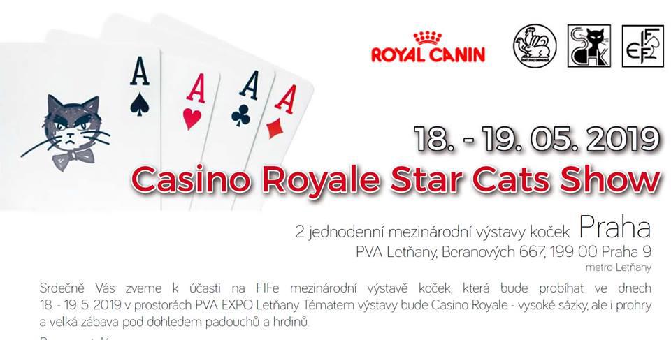 FIF International Cat Show Casino Royale Star Cats Show 2019 - 18. - 19. kvtna 2019