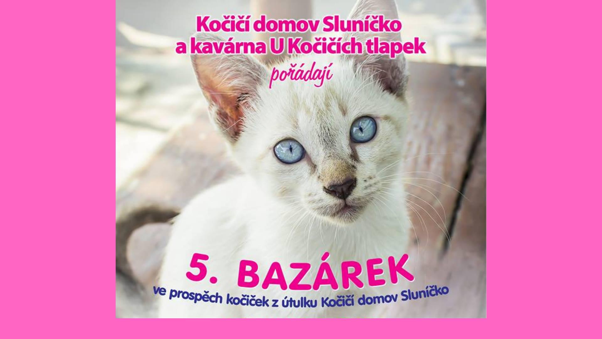 5. bazrek v koi kavrn - 13. dubna 2019