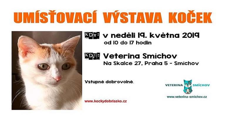 Umisovac vstava koek - 19. kvtna 2019