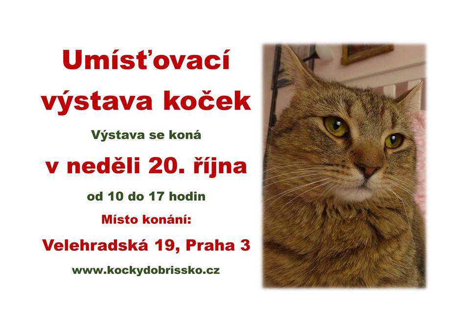 Umsovac vstava koek - 20. jna 2019