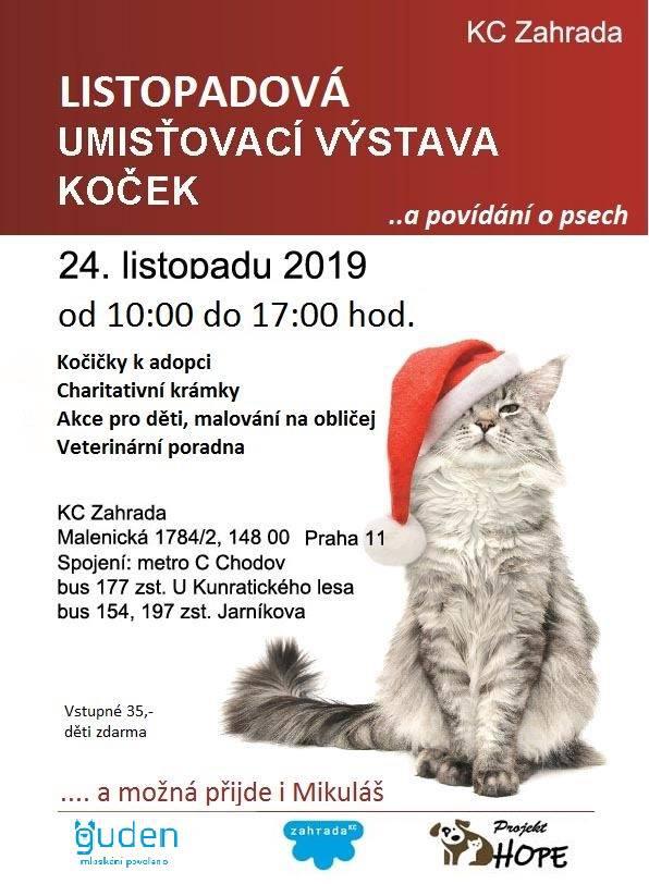 Listopadov umisovac vstava koek - 24. listopadu 2019