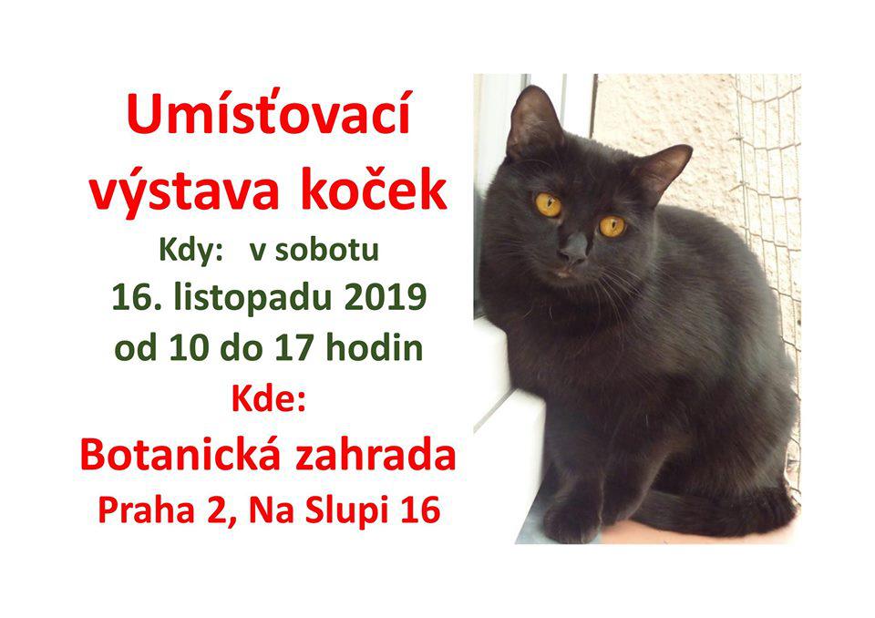 Umsovac vstava koek v Botanick zahrad v Praze 2 - 16. listopadu 2019