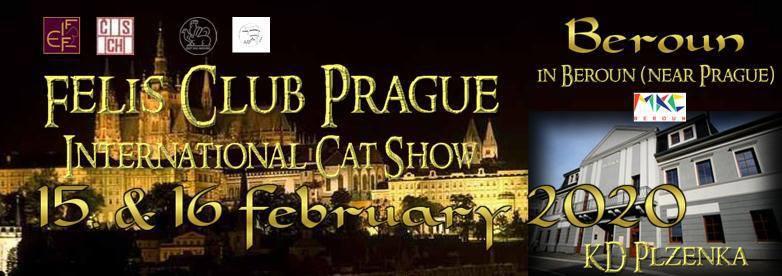 FIF International Catshow Beroun - 15. - 16. nora 2020