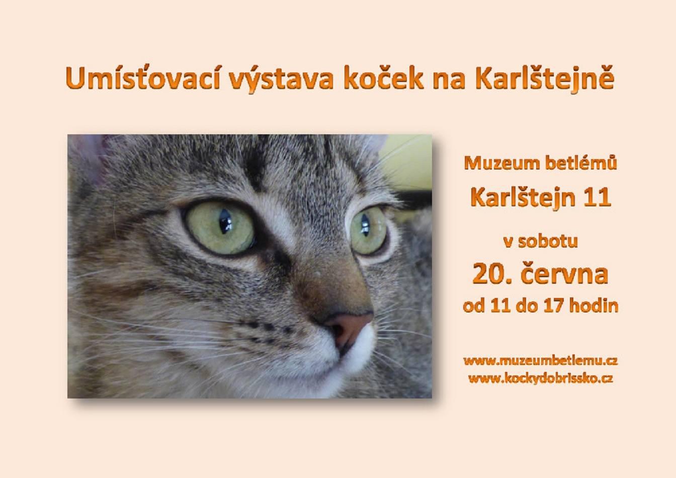 Umsovac vstava koek na Karltejn - 20. ervna 2020