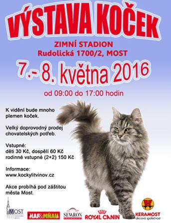 Dv jednodenn vstavy koek (FIFe) - 7. - 8. kvtna 2016