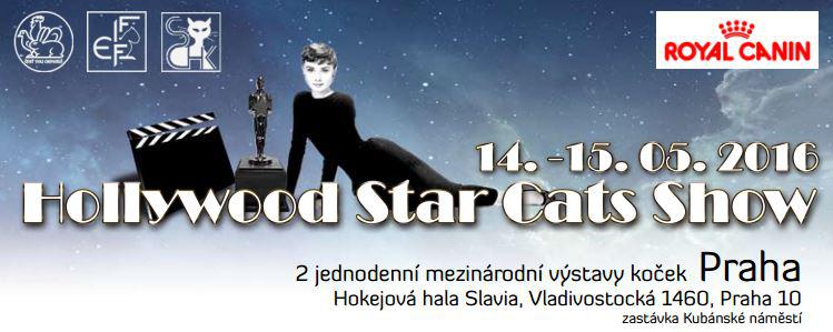 Hollywoodsk Star Cats Show (FIFe) - 14. - 15. kvtna 2016