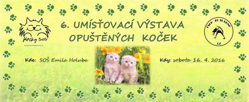 6. umisovac vstava oputnch koek - 16. dubna 2016