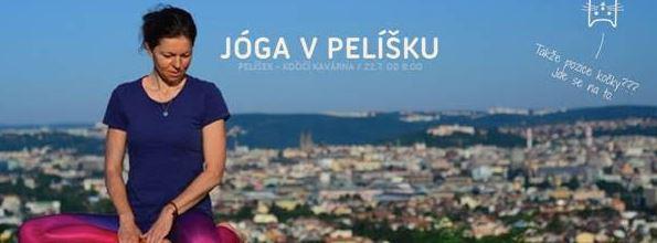 Jga v Pelku - 22. ervence 2016