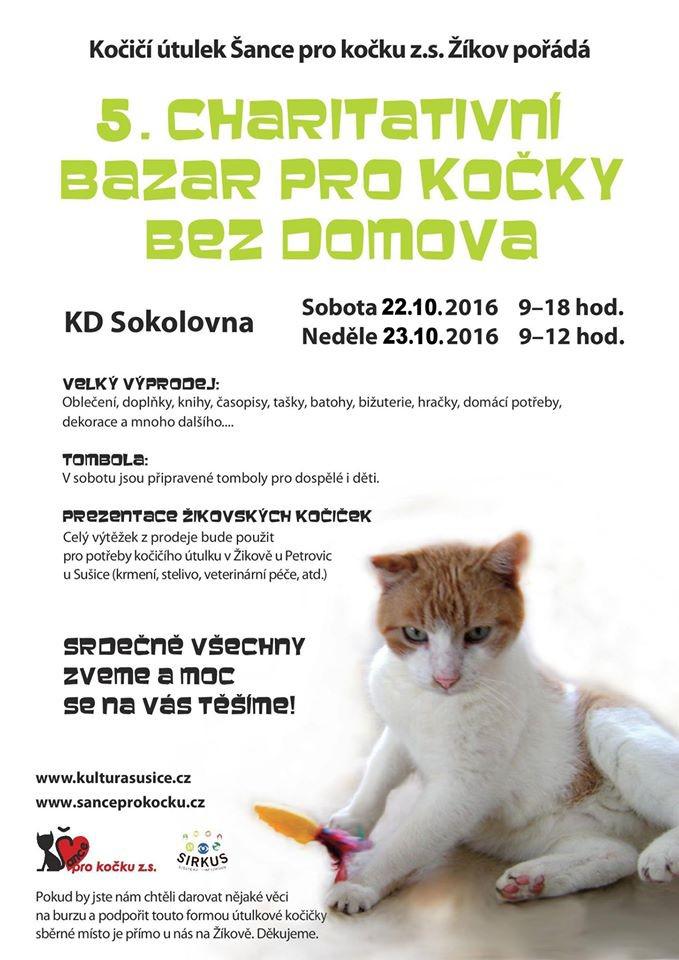 5. charitativn bazar pro koky bez domova - 22. - 23. jna 2016