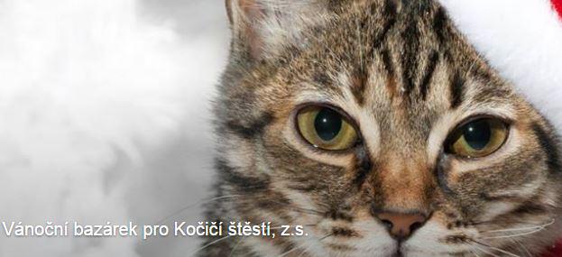 Vnon bazrek pro Koi tst, z.s. - 26. listopadu 2016