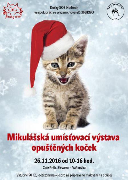 VII. umsovac vstava oputnch koek - 26. listopadu 2016