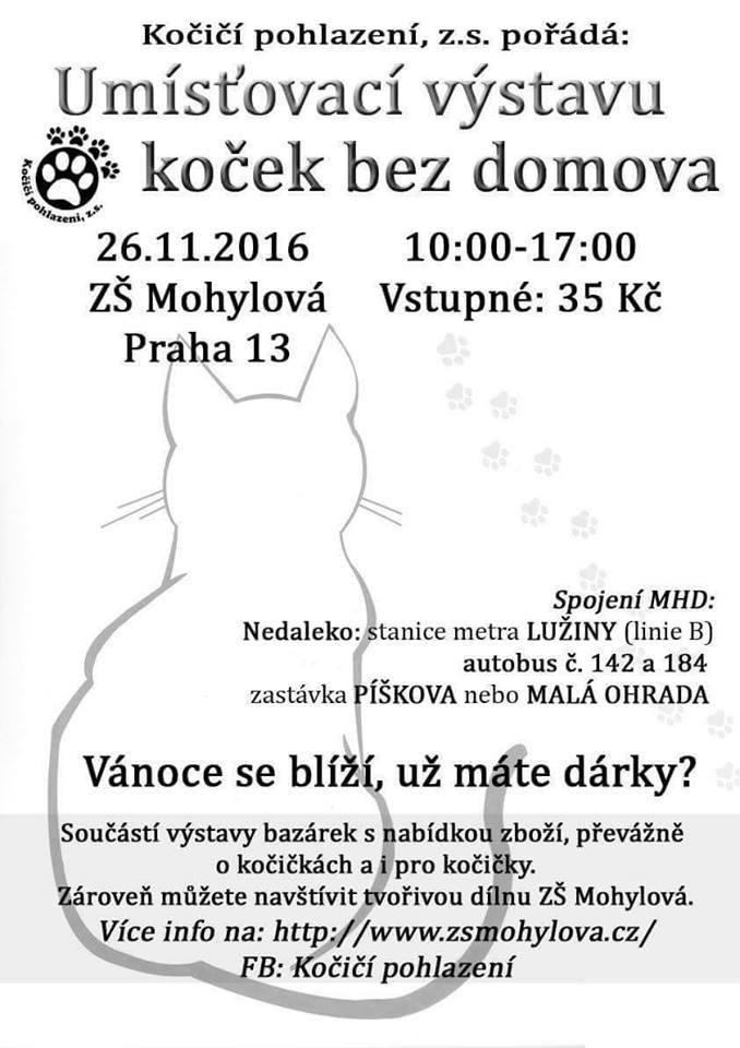 Umisovac vstava koek bez domova - 26. listopadu 2016