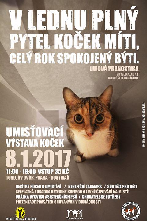 Umisovac vstava koek - 8. ledna 2017