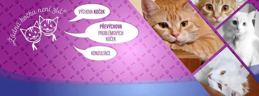 Pednka: I koka se d vychovat II. - 6. nora 2017