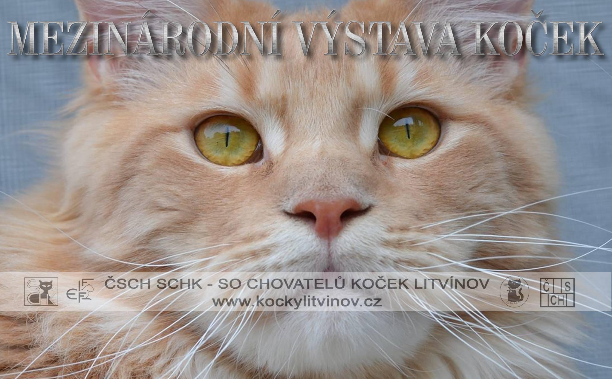 Mezinrodn vstava koek (FIFe) - 13. - 14. kvtna 2017