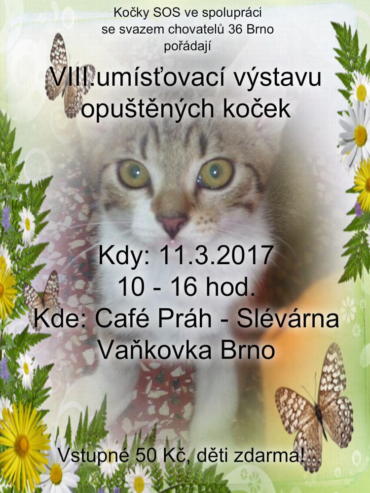 VIII. umisovac vstava koek - 11. bezna 2017