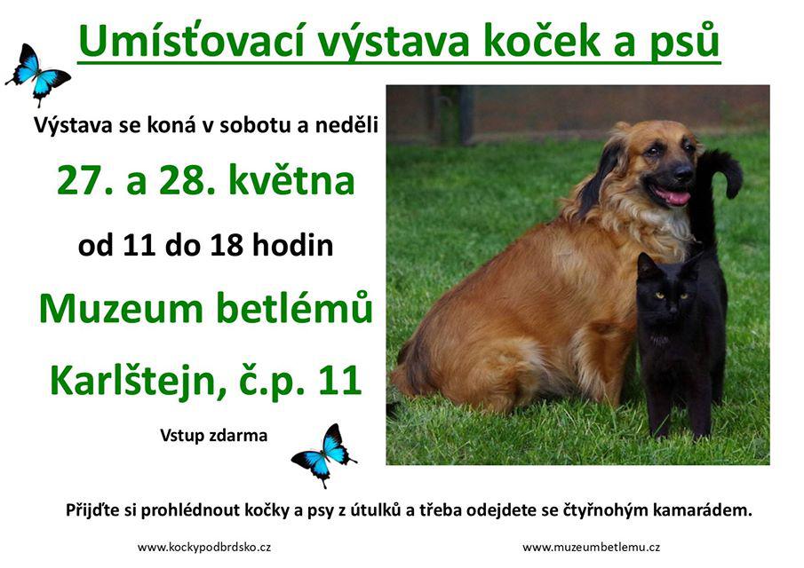 Umisovac vstava koek a ps - 27. - 28. kvtna 2017