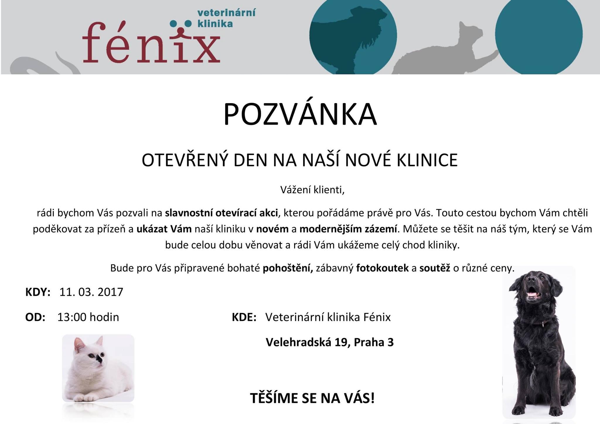 Oteven den na veterinrn klinice Fnix - 11. bezna 2017