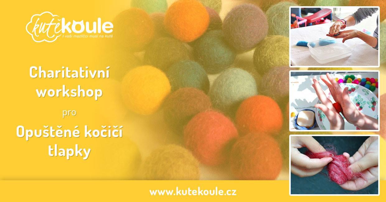 Charitativn workshop pro Oputn koi tlapky - 20. bezna 2017