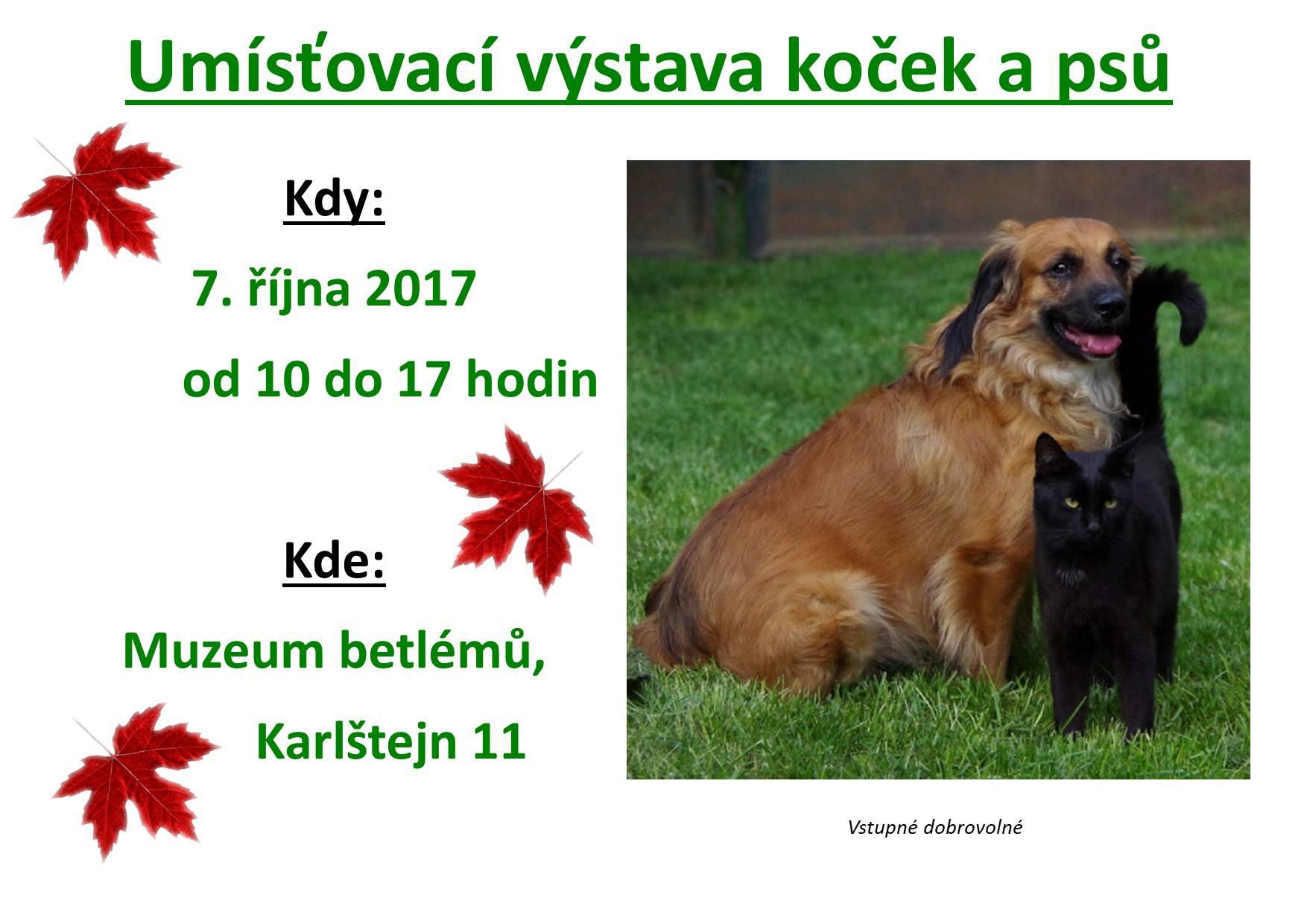 Umisovac vstava koek a ps - 7. jna 2017