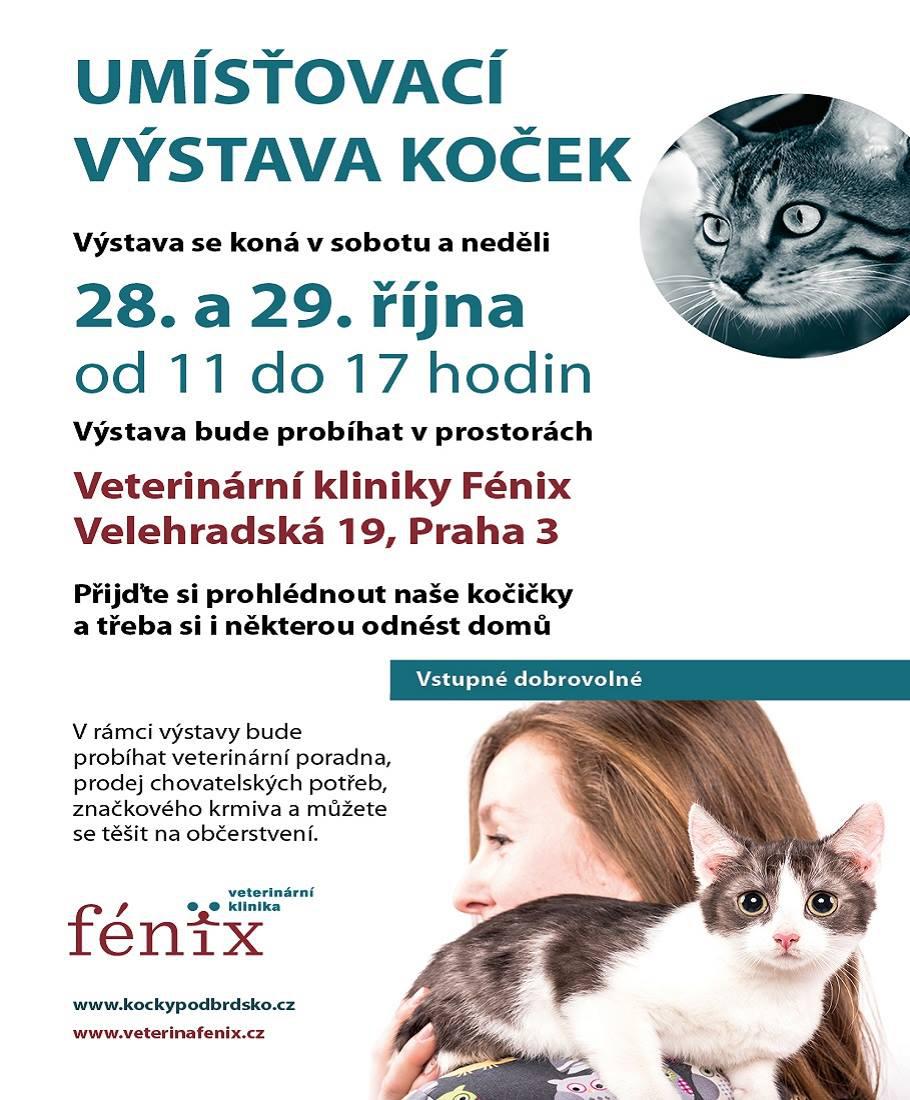Umisovac vstava koek - 28. - 29. jna 2017