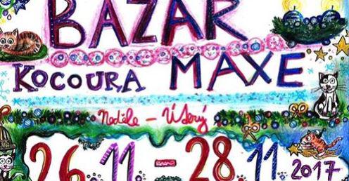 Vnon bazar kocoura Maxe - 26. - 28. listopadu 2017