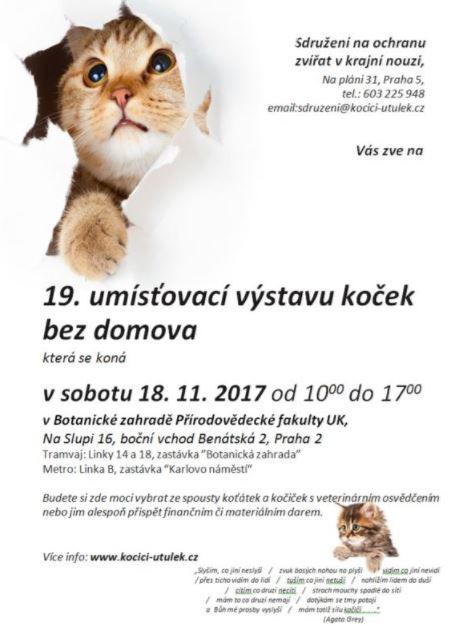 19. umsovac vstava koek bez domova - 18. listopadu 2017