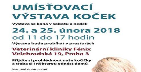 Umsovac vstava koek - 24. - 25. nora 2018