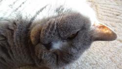 To sluníčko krásně hřeje.