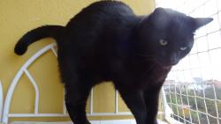 Ptáčci široko daleko žádní, začíná mi být zima, jdu domů.