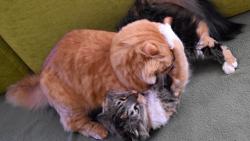 1/3 Jendo, já se ale nechci prát.