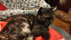 Princezna na hrášku.-)