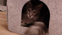 Nevím, co vy dva tady řešíte, tohle je můj bejvák!