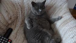 Tak na co se dneska budu dívat ?