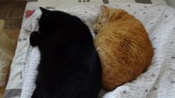 Přejeme všem dobrou noc.