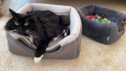 Ani mě dneska z pelíšku nikdo nedostane.