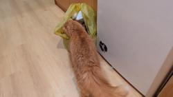 Prý jsem bufeťák...