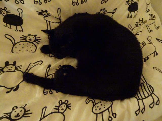 J� taky sn�m, ale o po��dn�m kusu �erstv�ho mas��ka.