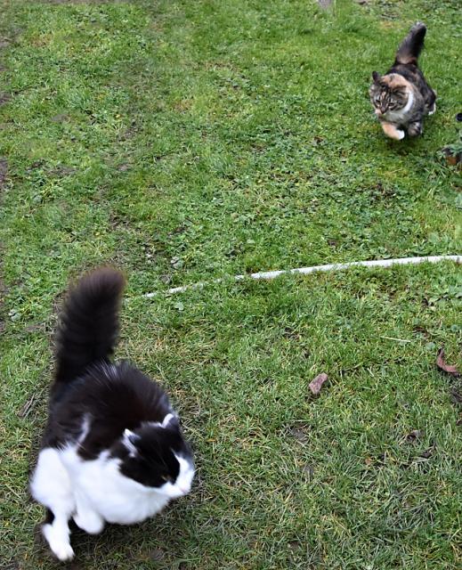 Dneska t pkn proenu, Krypno.