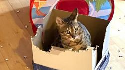 Jsem velk� pomocnice p�i �klidu😹