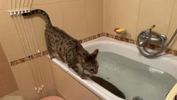 Safra, trochu to klou�e, tak mus�m opatrn�, abych nezahu�ela do vody ke kaprovi😂