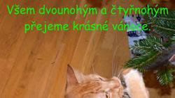 Ty n� mil� Je��ku, nad�l n�m tu �anti�ku.