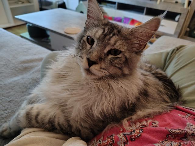 Sv�domit� zah��v�m pani�ku