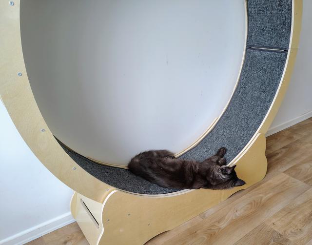 �pln� m� to vy�erpalo...