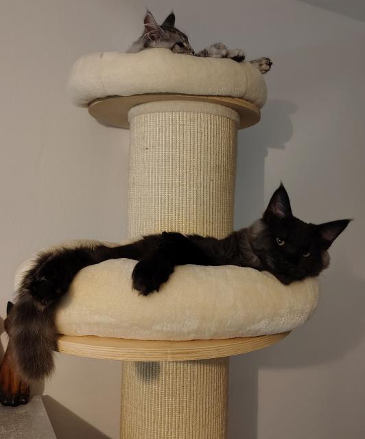 ...tak jsem si dal zaslou�en� zd��mnut�.